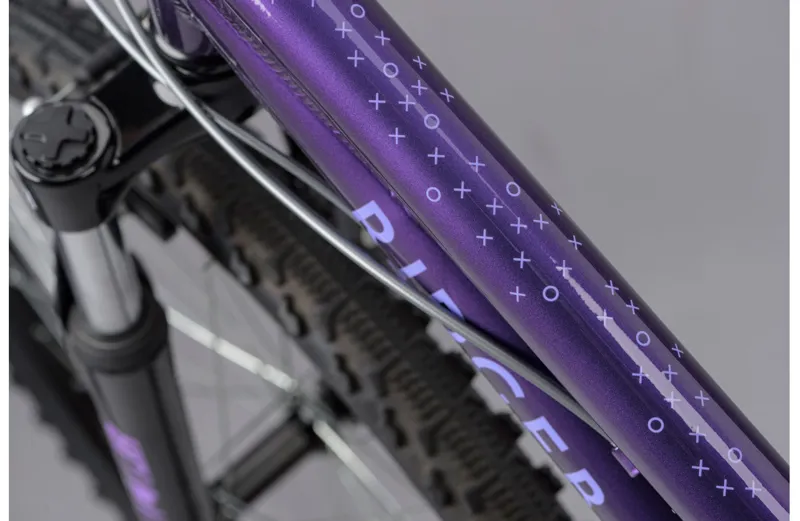 Ridgeback Destiny 24 Kids Bike in Purple-9